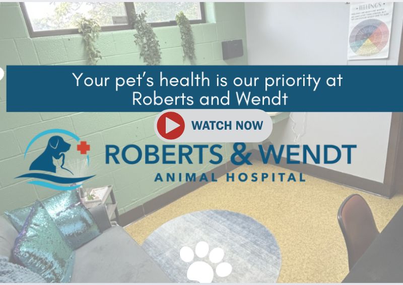 Carousel Slide 1: Check out our newest Highlight Video!